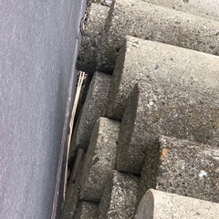 花壇に使う丸いブロックの画像