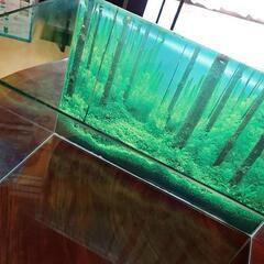【中古】Gex  45センチ ガラス水槽セット
