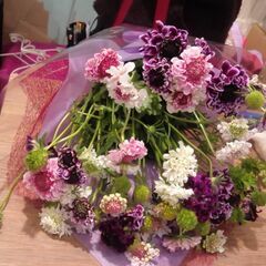 切り花農家の作業スタッフを募集しています！！　住み込みも可能です！！の画像