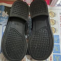 17センチの画像