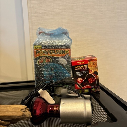 フトアゴヒゲトカゲ飼育セット