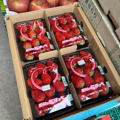 愛知県産🍓紅ほっぺ入荷しました！✨の画像
