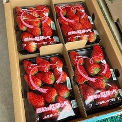愛知県産🍓紅ほっぺ入荷しました！✨の画像