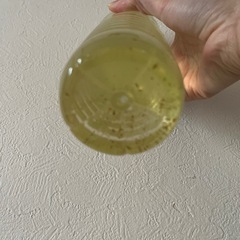 オオミジンコ500mlの画像
