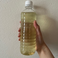 オオミジンコ500mlの画像