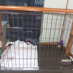 【決まりました。】犬　ゲージの画像