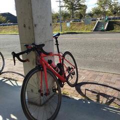 値下げ‼️トレック　エモンダALR