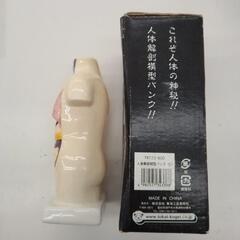 人体解剖模型バンク TJ10849の画像