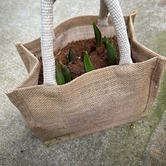 残1つ)春の花、麻のバッグの寄せ植え