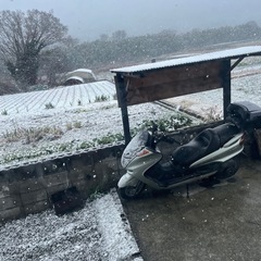 YAMAHA マジェスティ250の画像
