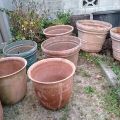 (決まりました)大きなプランター🌷　(プラ)