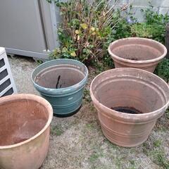 (決まりました)大きなプランター🌷　(プラ)の画像