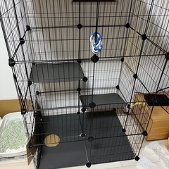 値下げ　キャットゲージ