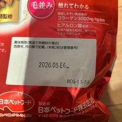 ビューティープロ　子猫用の画像