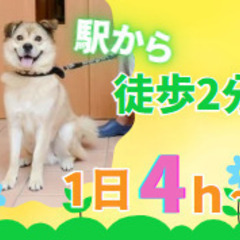 週2日/短時間勤務/介護スタッフ