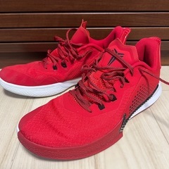 NIKE コービー  マンバフューリー　バッシュ　29cm