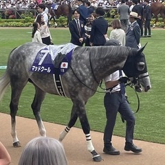 競馬仲間募集！さぁ今週は高松宮記念🏇