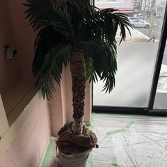ヤシの木のオブジェ‼️