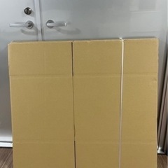 [新品]ダンボール Lサイズ10個セットの画像