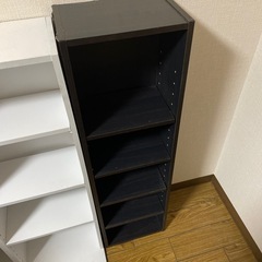 棚