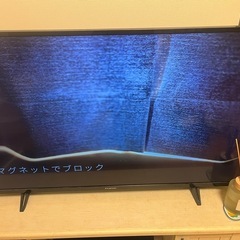 テレビ