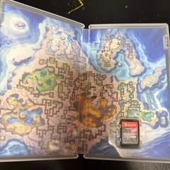 ポケットモンスター　シャイニングパール　ポケモン　Switch ソフトの画像