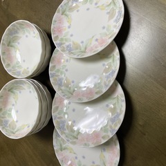 器5点平皿4点の画像
