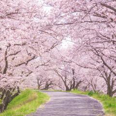 公園散歩しましょう