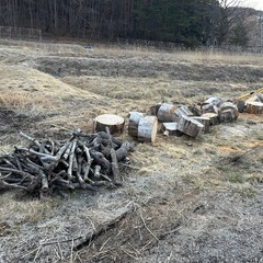 薪　薪原木　薪ストーブの画像