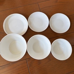 キャンプ用　皿の画像