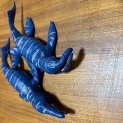 シャークアンドコー