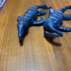 シャークアンドコーの画像