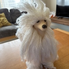 レッスンドッグの画像