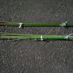 🍅🌽90cm園芸支柱🥒🌹