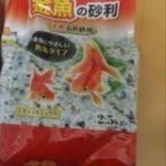 水槽お譲りします（濾過装置なし）の画像