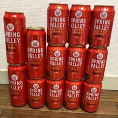 お酒 ビール キリン スプリングバレー 豊潤 350ml 500...