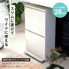 ゴミ箱　薄型　2段式　足踏みペダル付