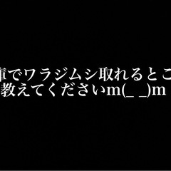 兵庫でワラジムシの取れるところ教えてください