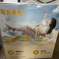 【一度だけ使った】電気毛布
