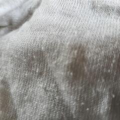 カーディガンの画像