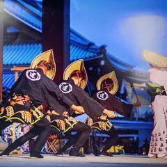 おわら風の盆(踊り、唄、三味線、胡弓)メンバー募集