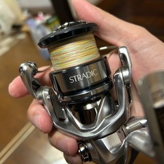 19ストラディック　C3000HGの画像