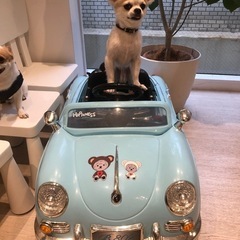 愛犬同伴ok♪ 犬好き集まれ　カフェ☕️にて