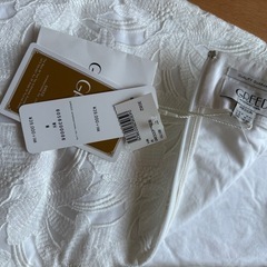 Greedスカートの画像