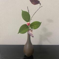 表千家不白流茶道教室　生徒募集中の画像
