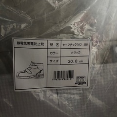 安全靴 30cmの画像