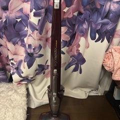 取り引き中【定価38276円】エレクトロラックス サイクロン式ス...