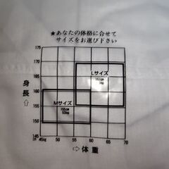 きものスリップ（未使用）の画像