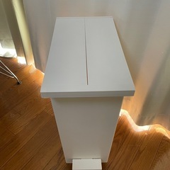 ケユカ KEYUCA ゴミ箱 27L 両開き