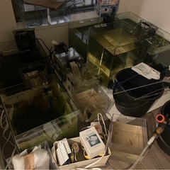 水槽と熱帯魚(アクアリウム用品とグッピー)